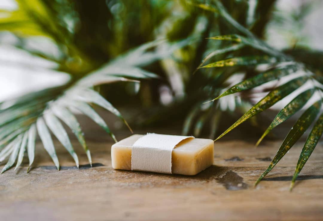 travel plastic free soap