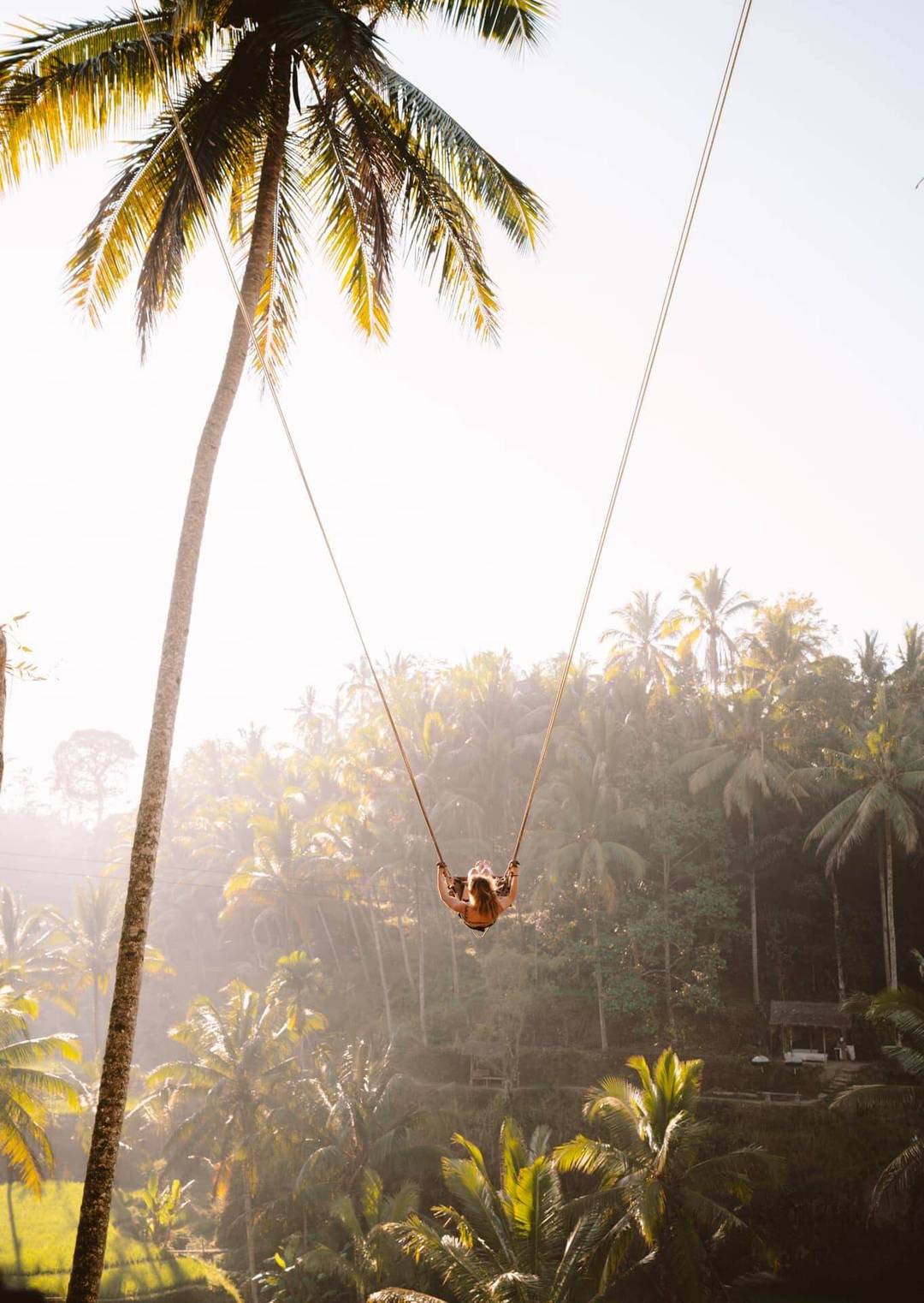 tegalalang swing
