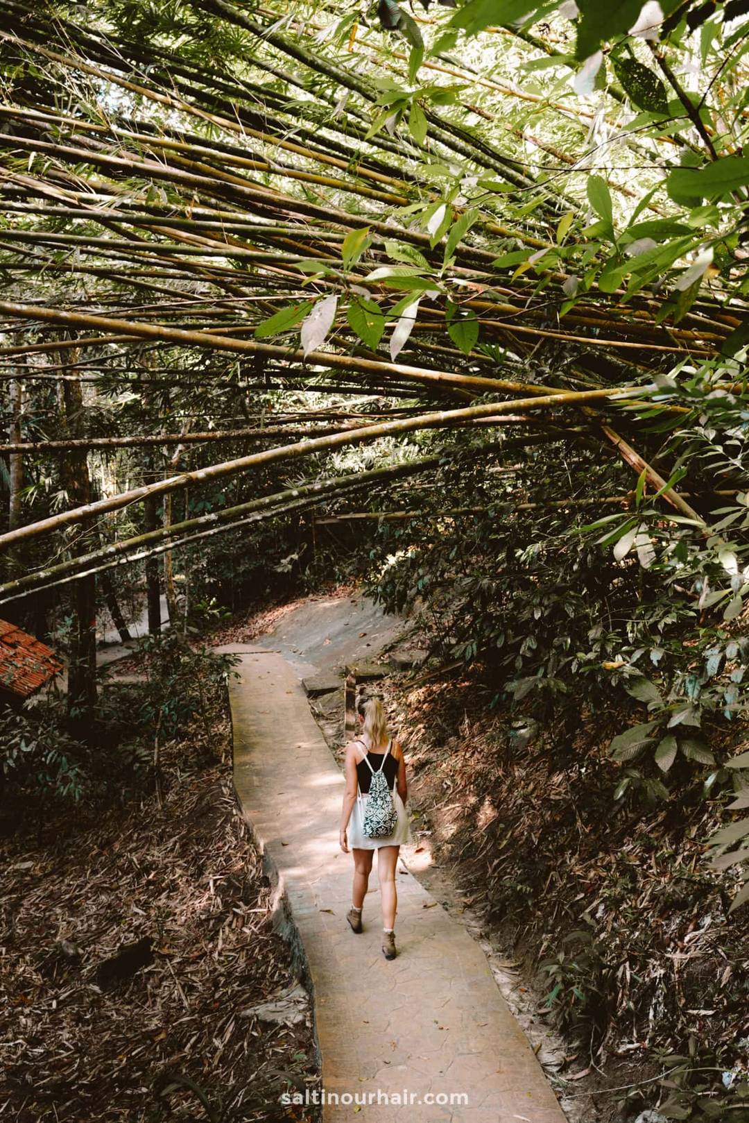 Penang National Park