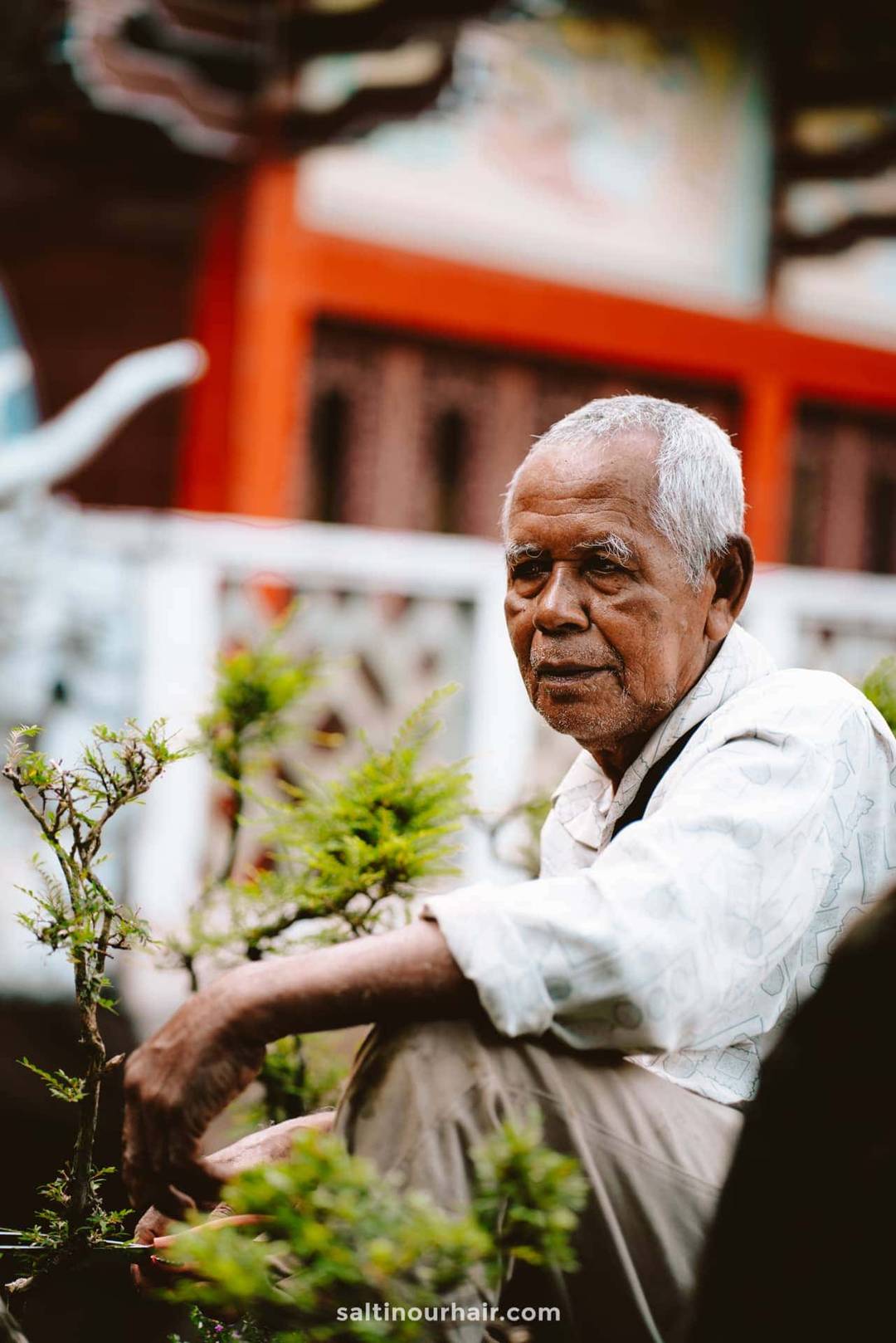 ipoh malaysia local