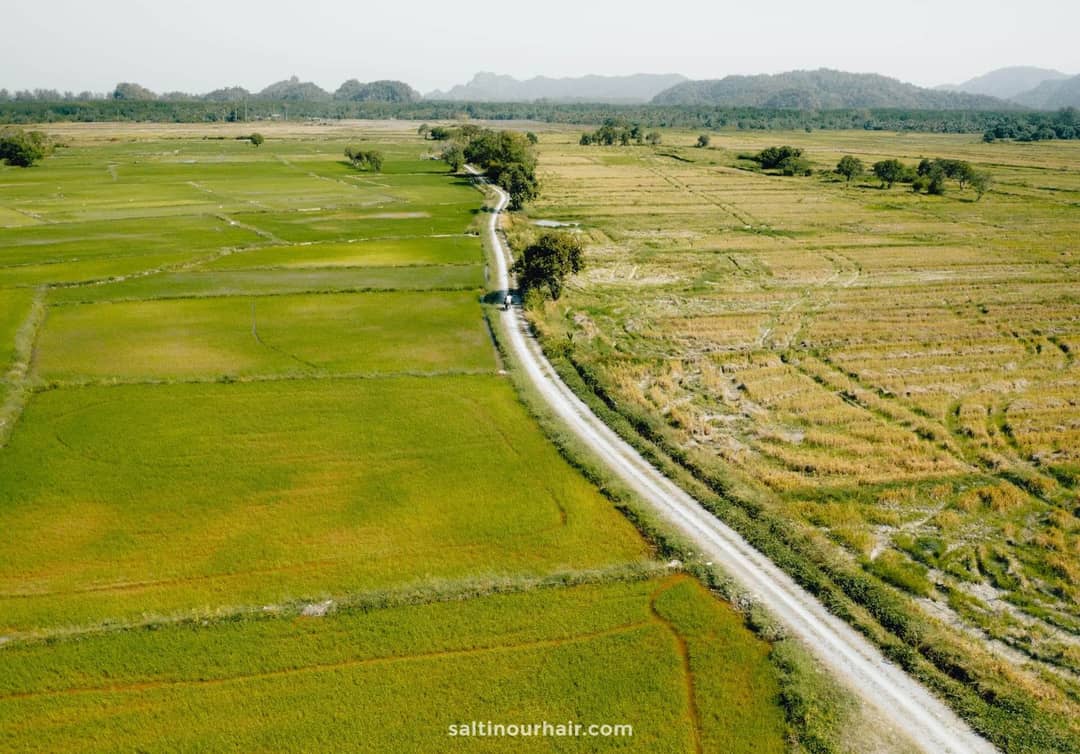 Langkawi Maleisi&euml; rijstvelden