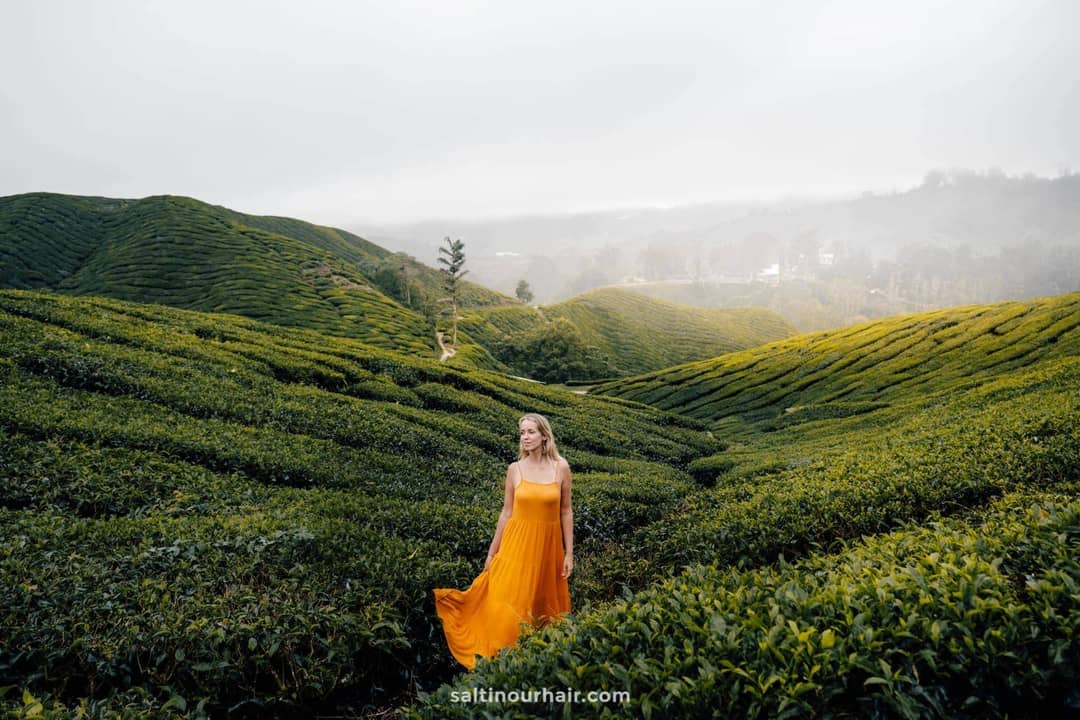 malaysia cameron highlands salt in our hair