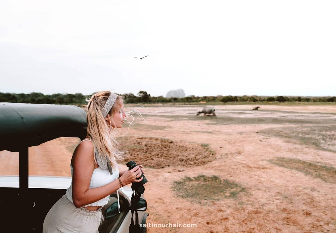 safari yala nationaal park sri lanka