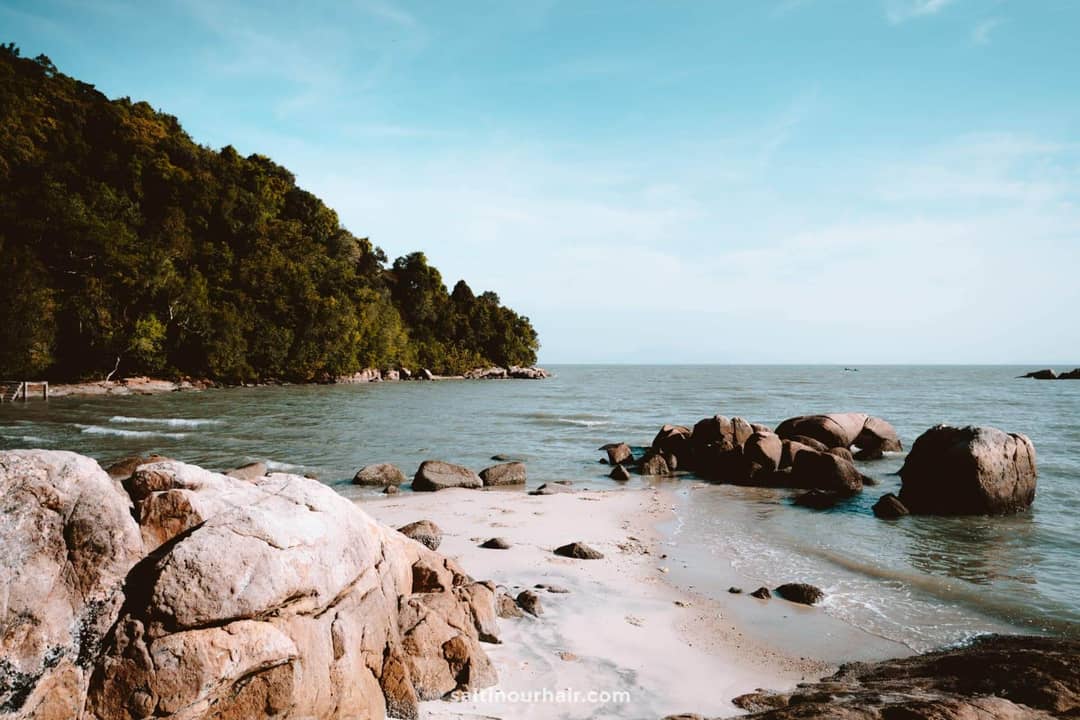 Penang complete guide National Park