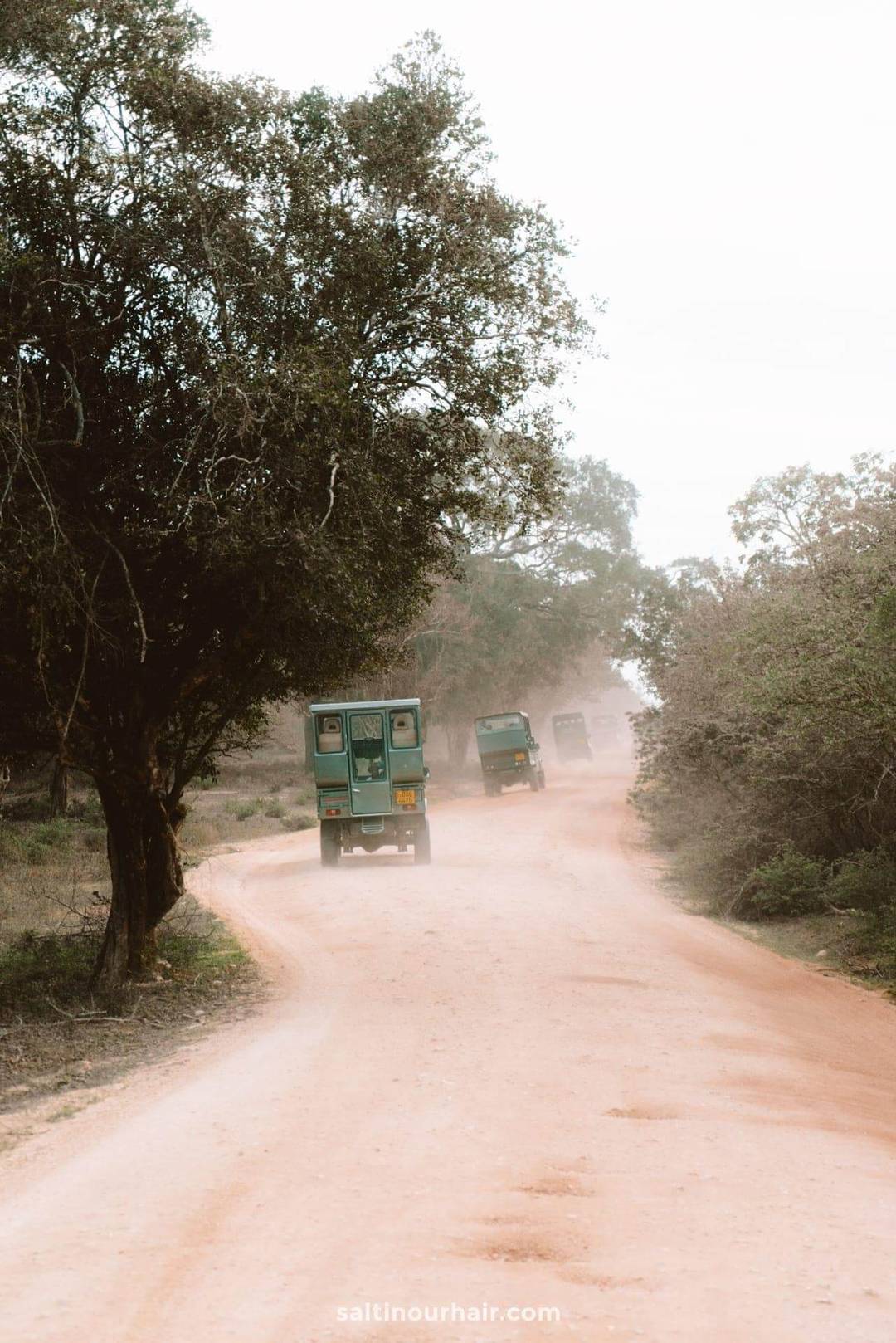 yala nationaal park jeepsafari sri lanka