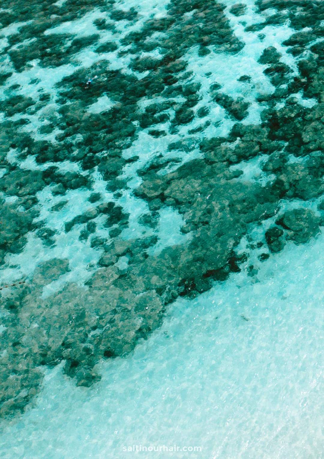 blauwe oceaan