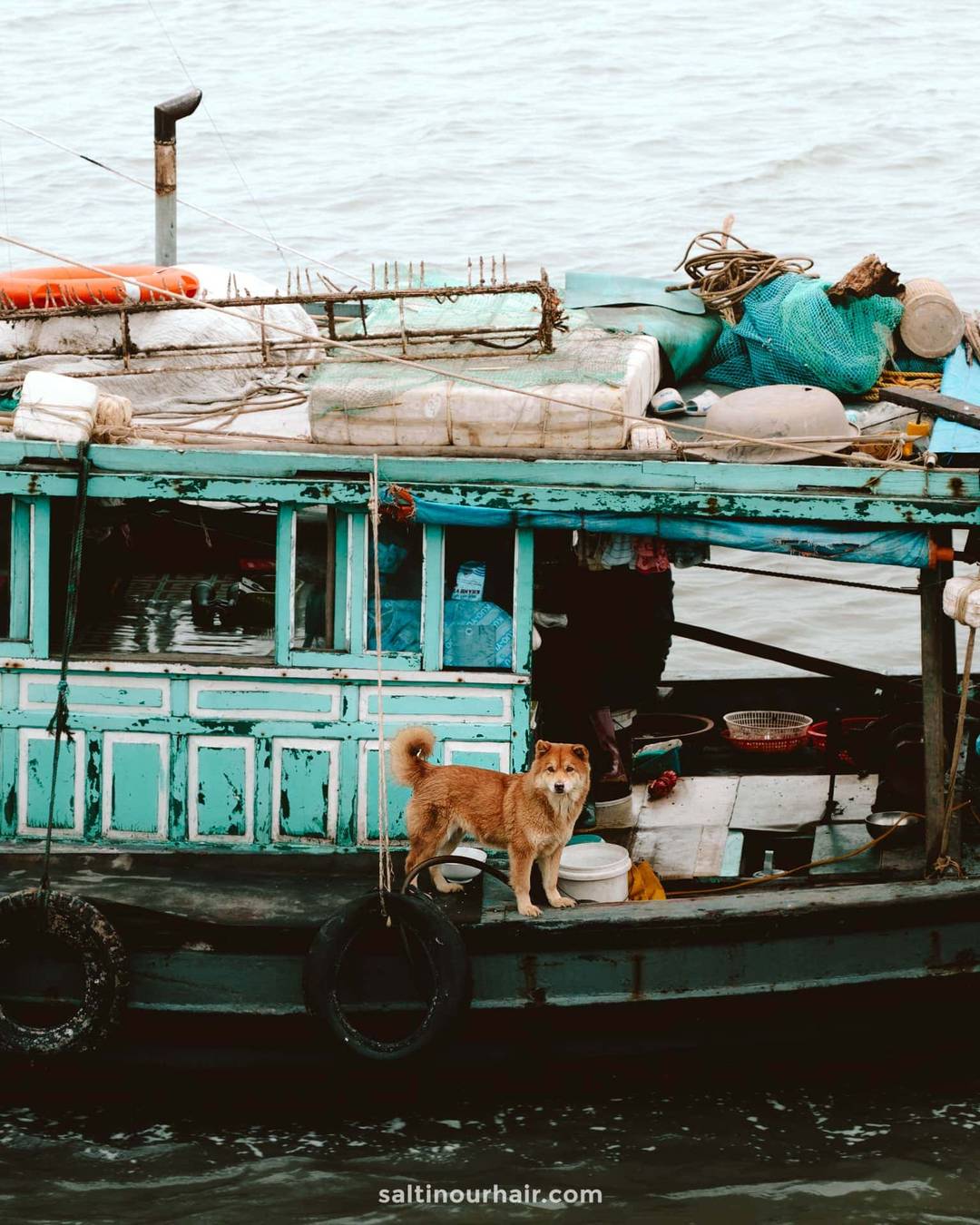 halong bay