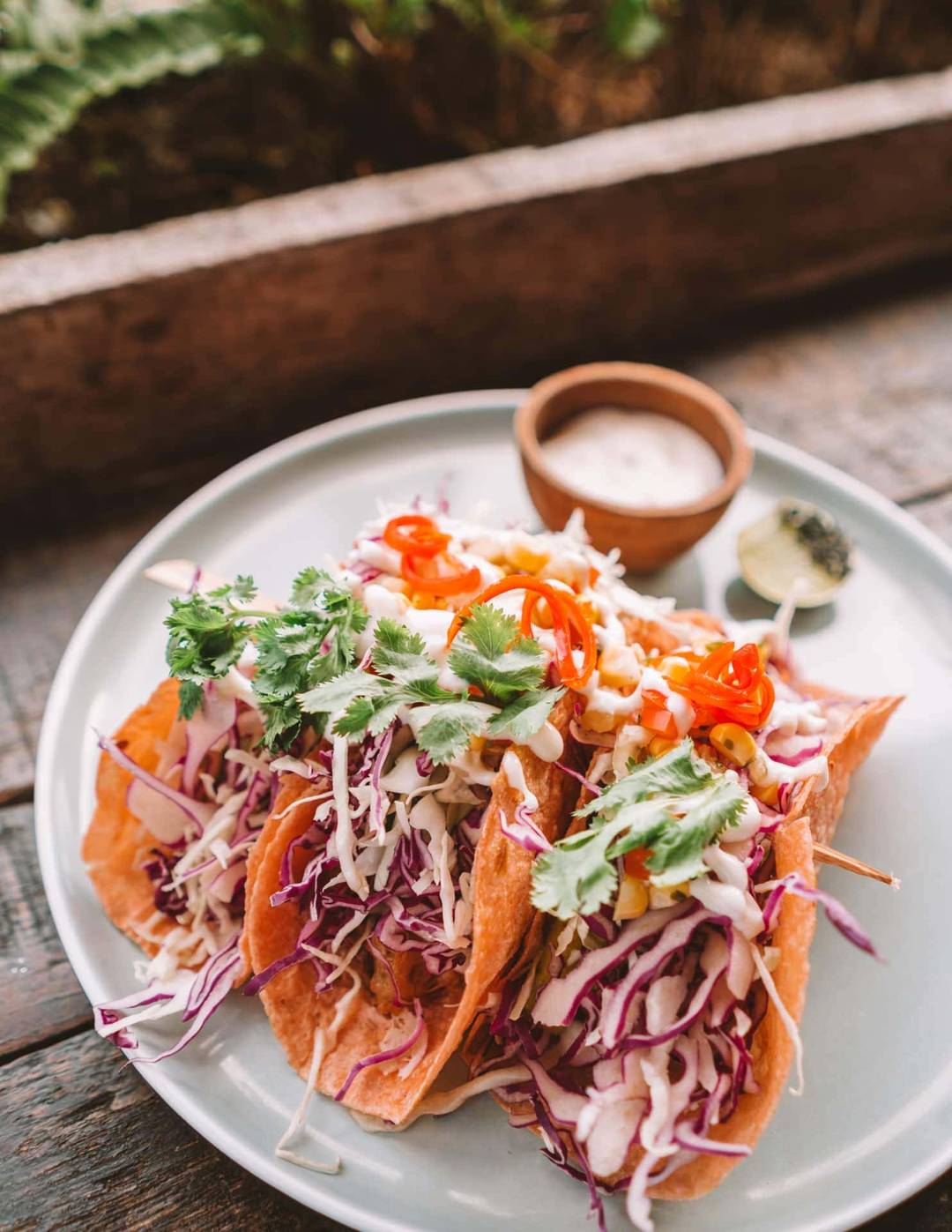 best vegan food travel