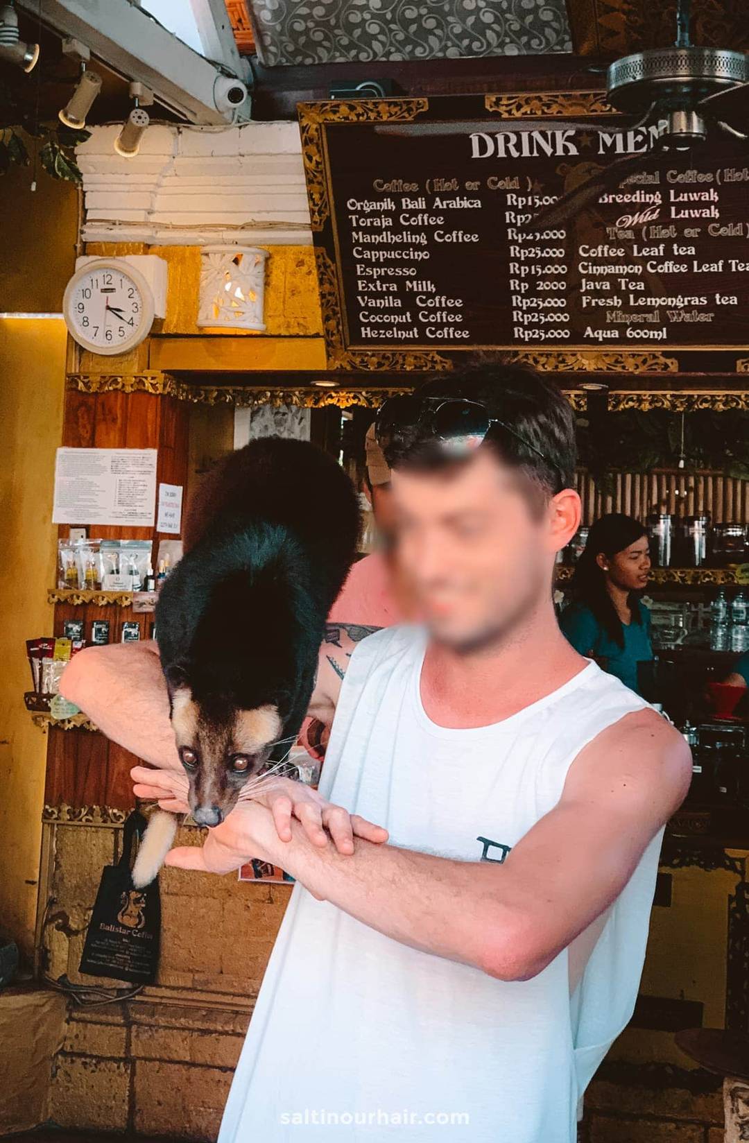 luwak coffee