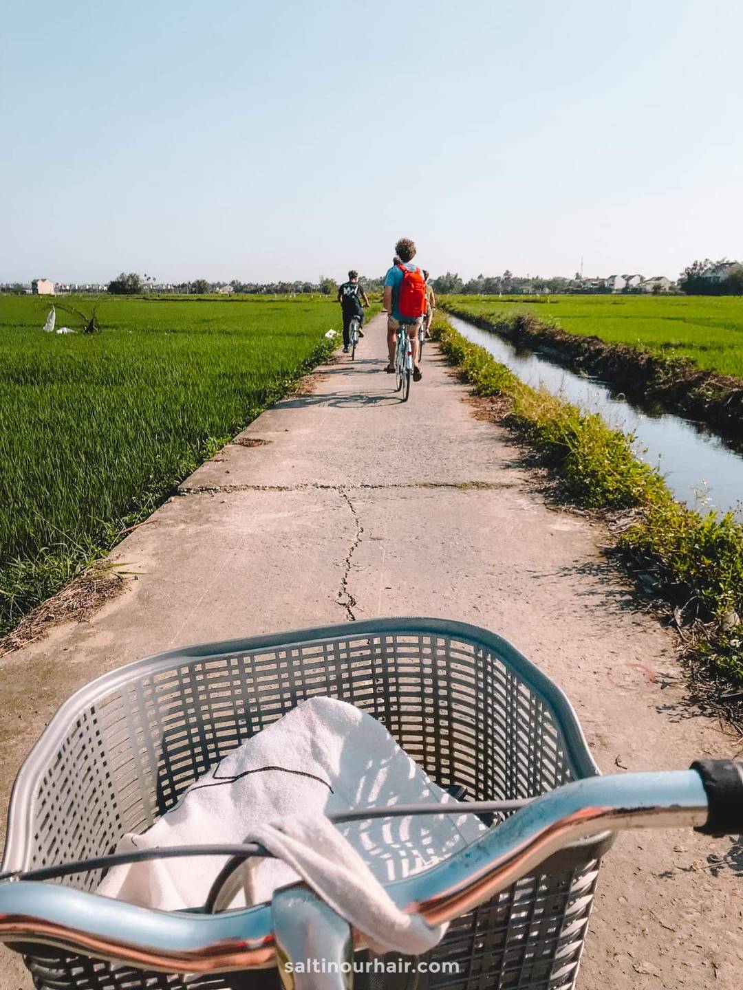 rijstvelden hoi an