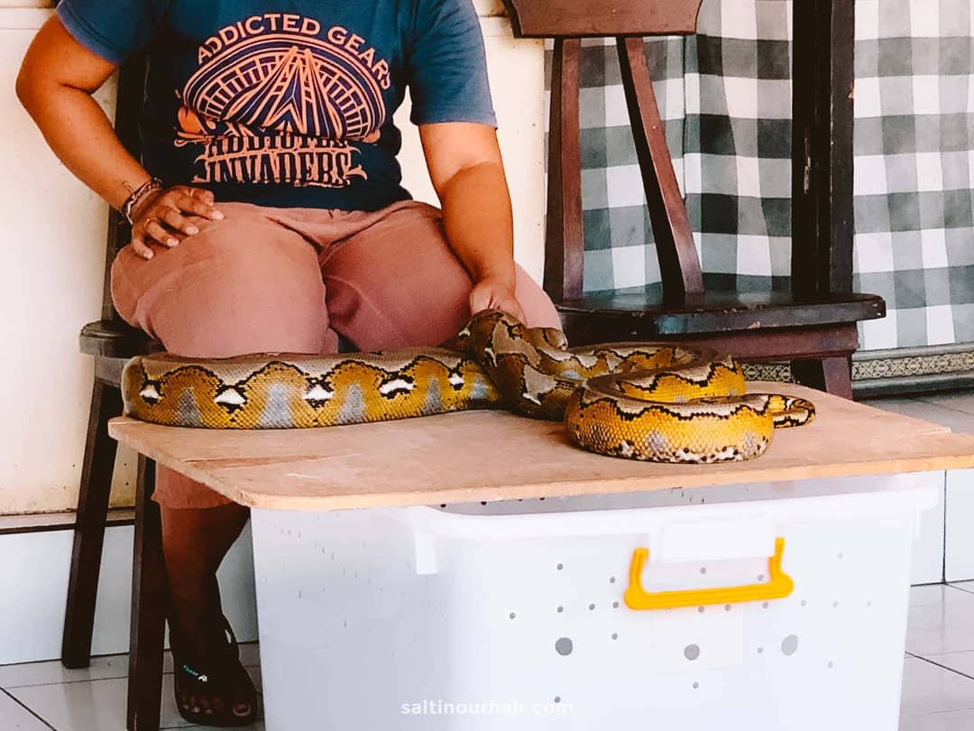 snake cruelty