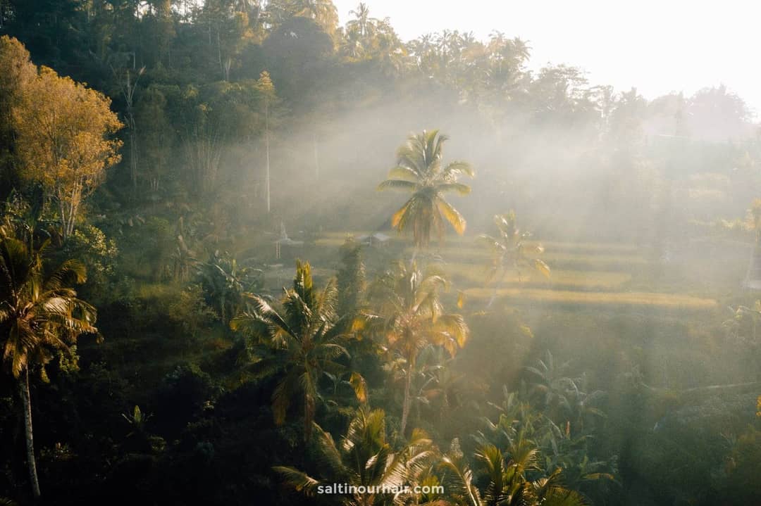 sustainable travel