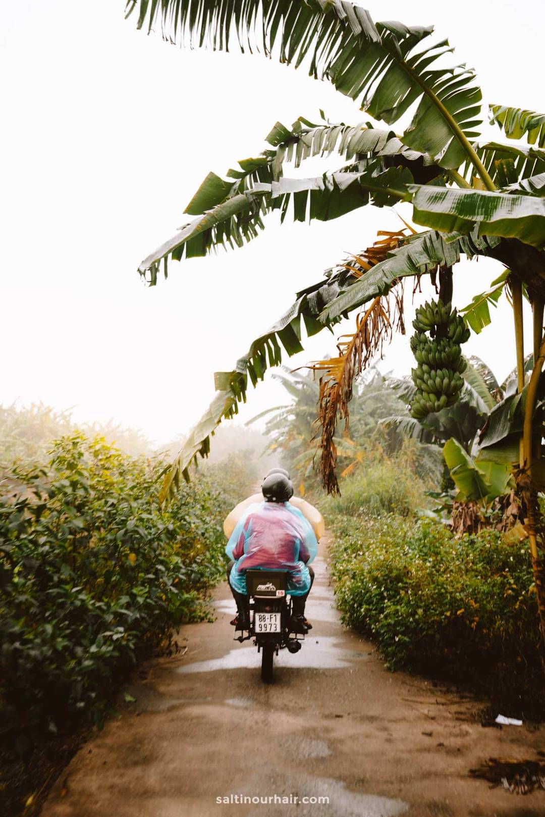 hanoi motorbike tour