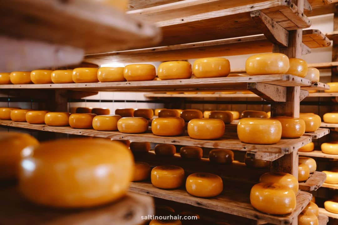 best dutch cheese
