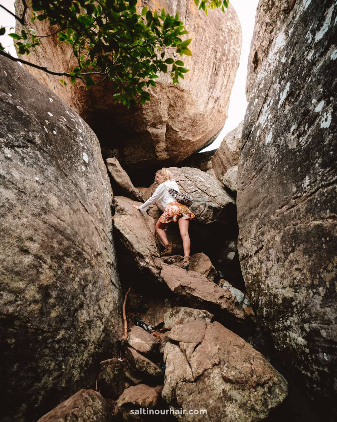 climb Pidurangala rock sri lanka