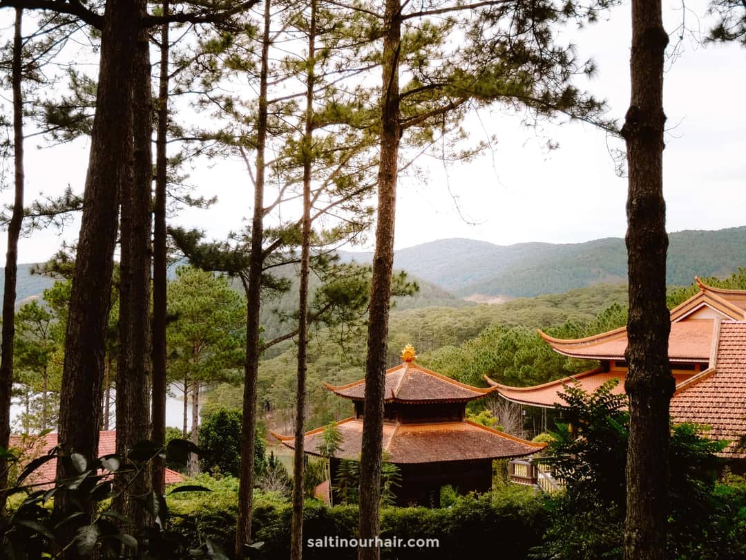 travel guide vietnam dalat