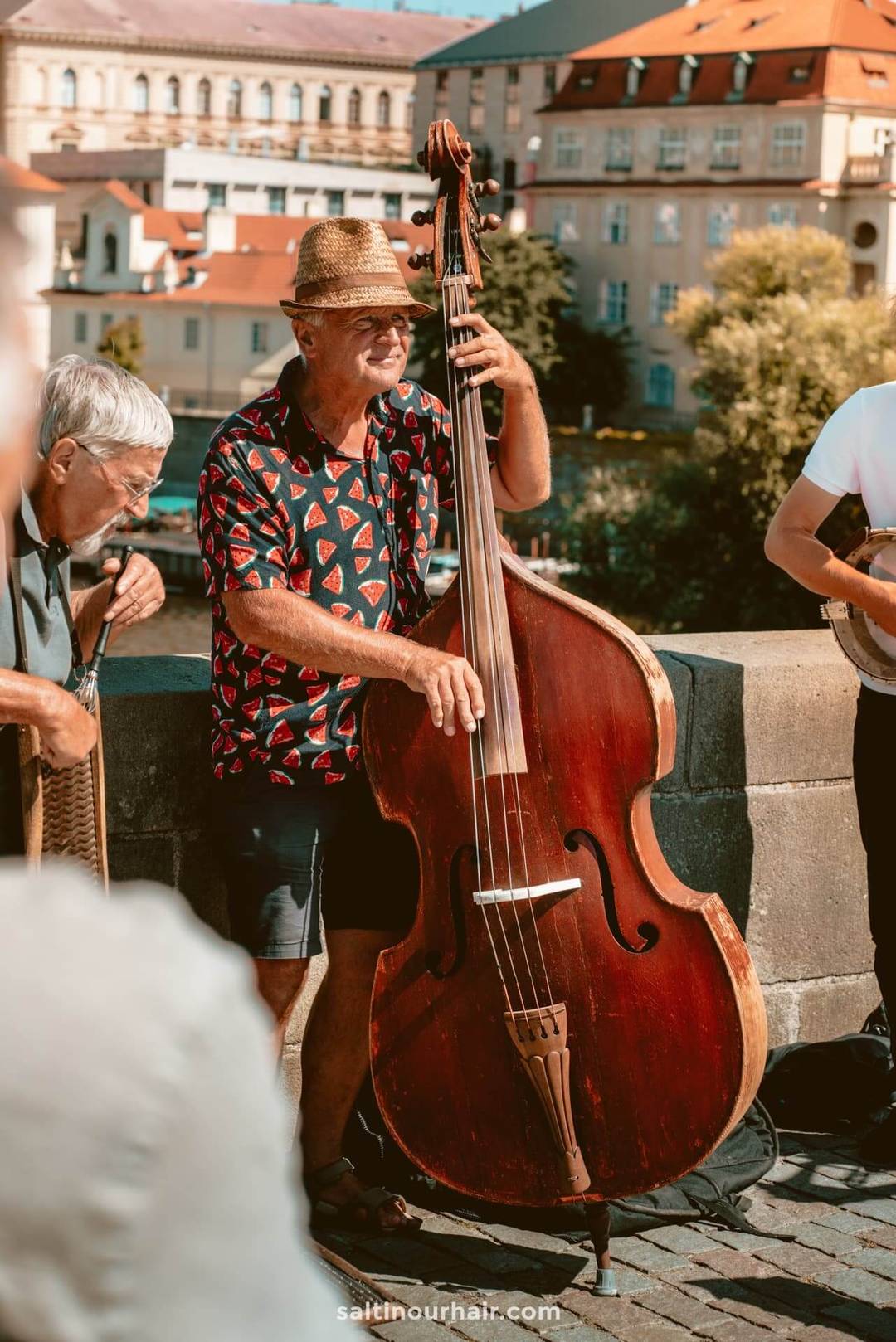 Charles Bridge prague music