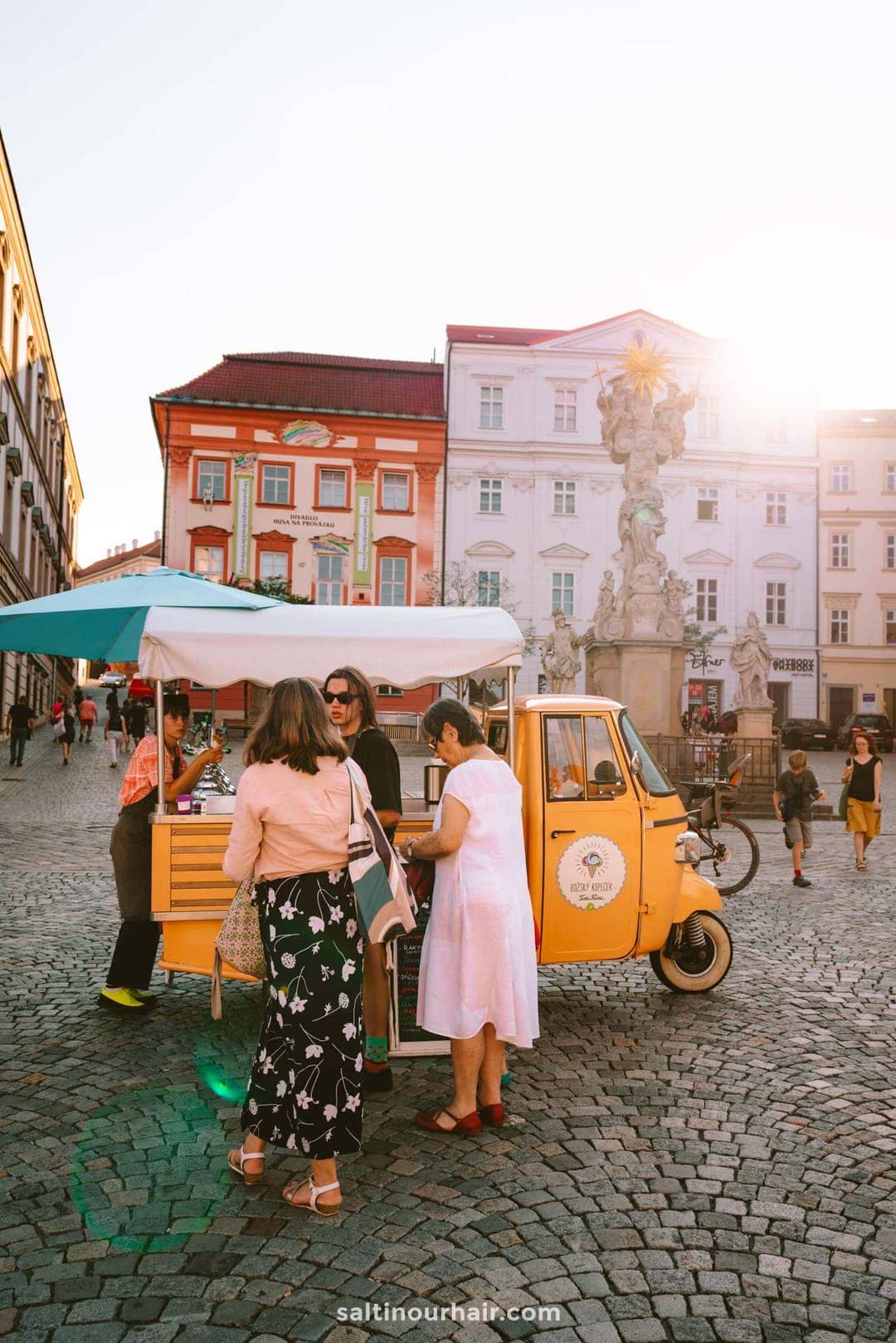 brno czech republic vegan ice cream