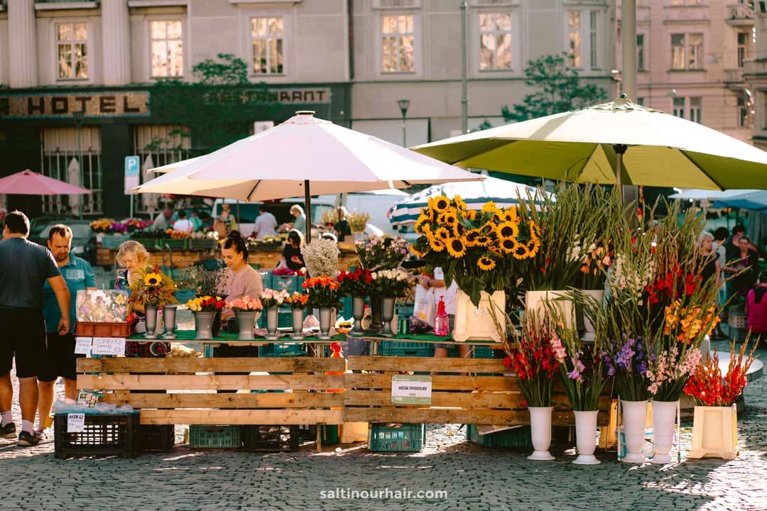 dingen om te doen tsjechische koolmarkt