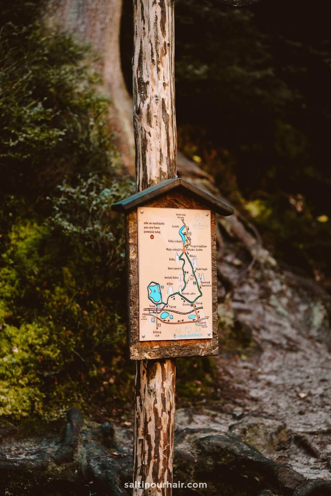 Czech Republic National Park trail