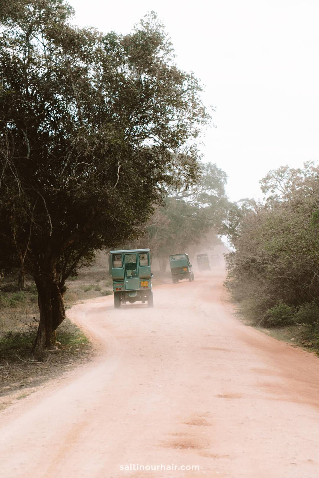 National Parks Sri Lanka