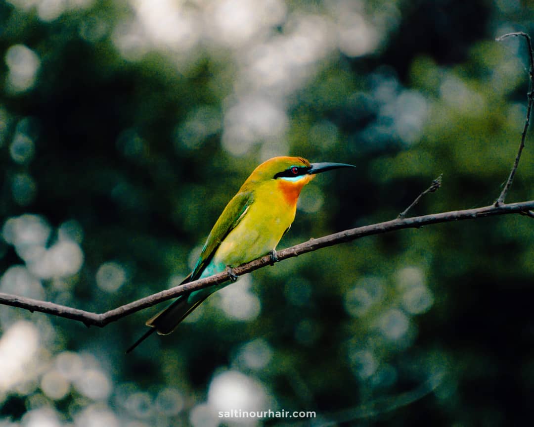 National Parks Sri Lanka