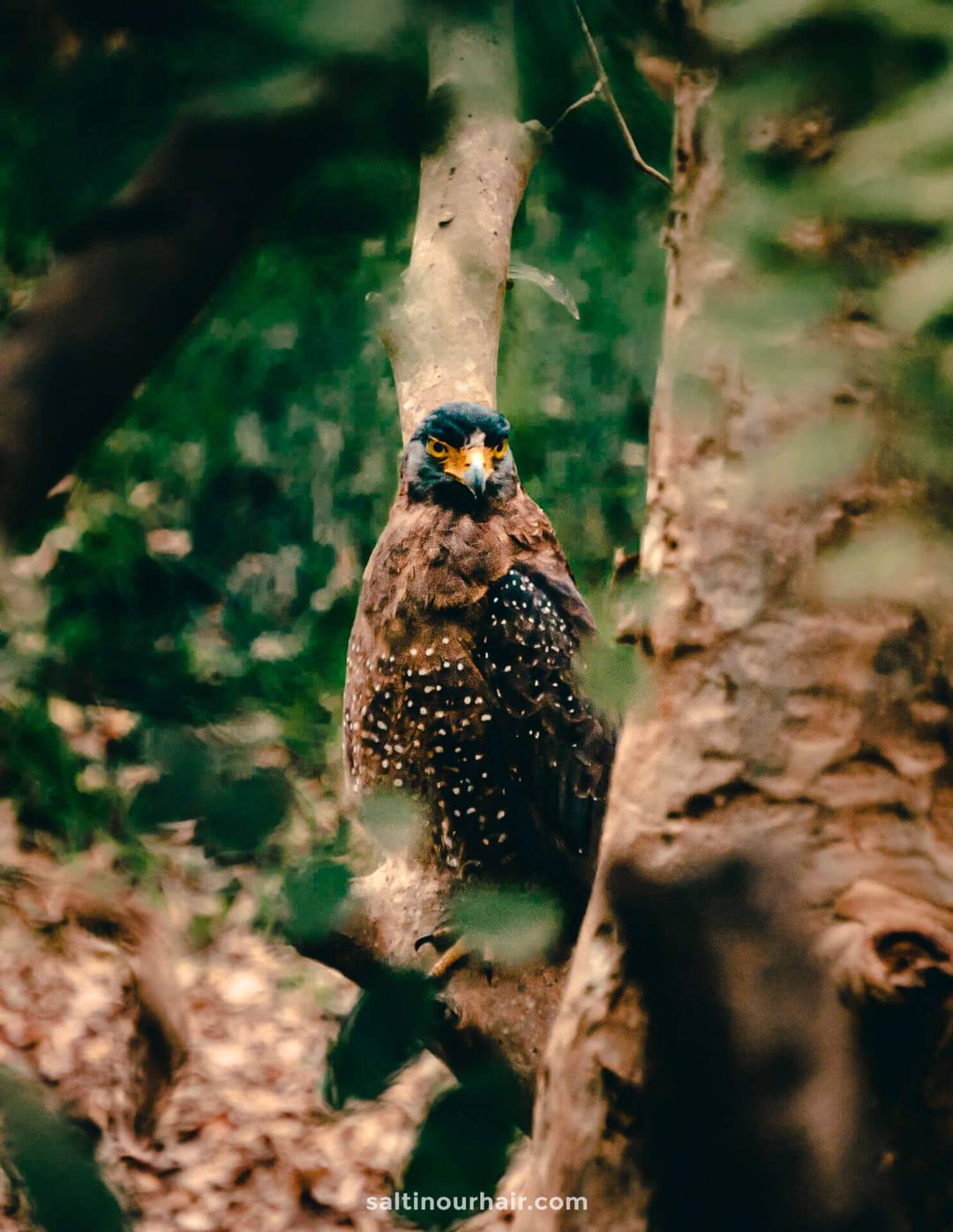National Parks Sri Lanka