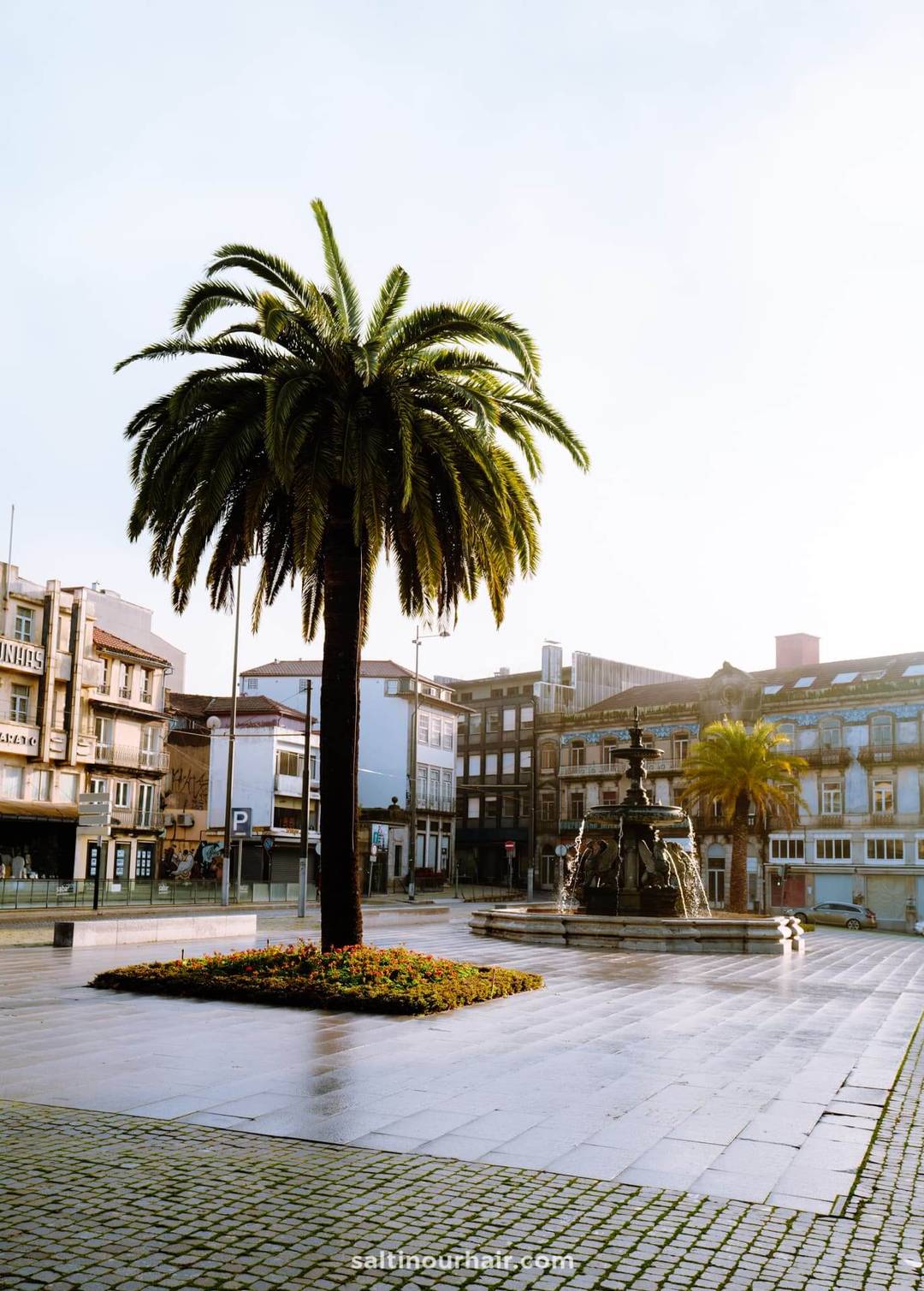 porto Fonte dos Leões