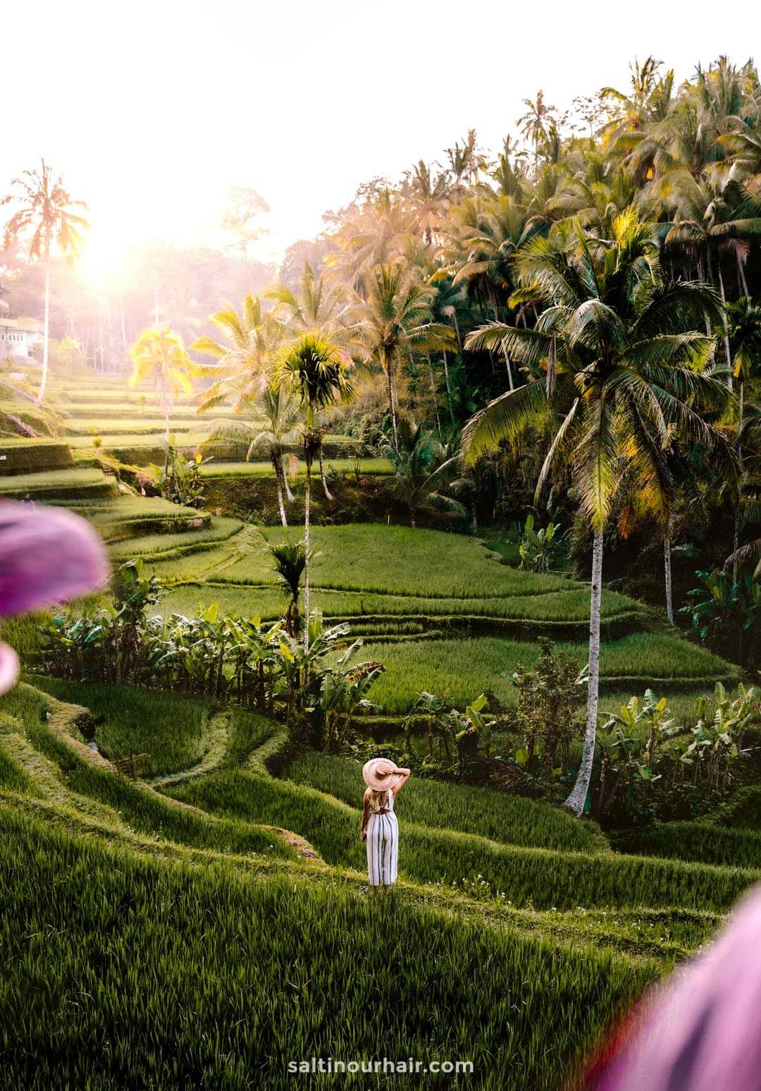 Travel Home Decor bali