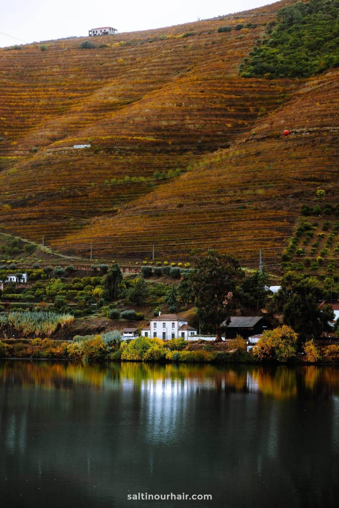 douro valley portugal river