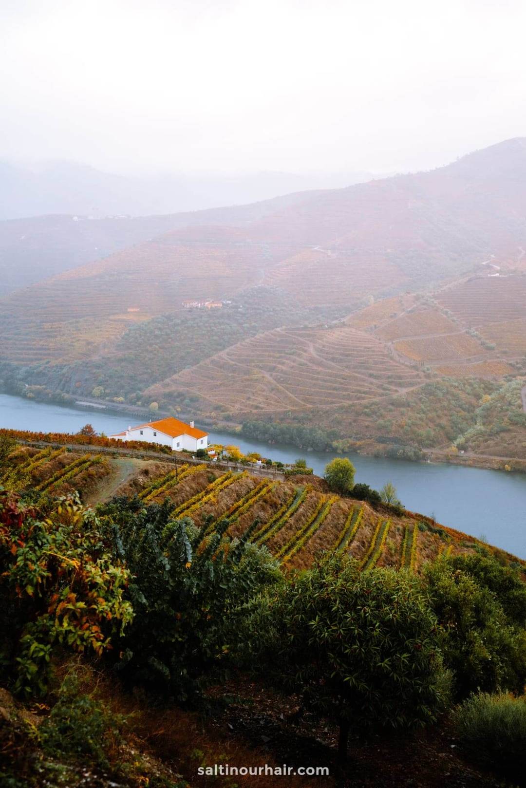 douro valley portugal viewpoint