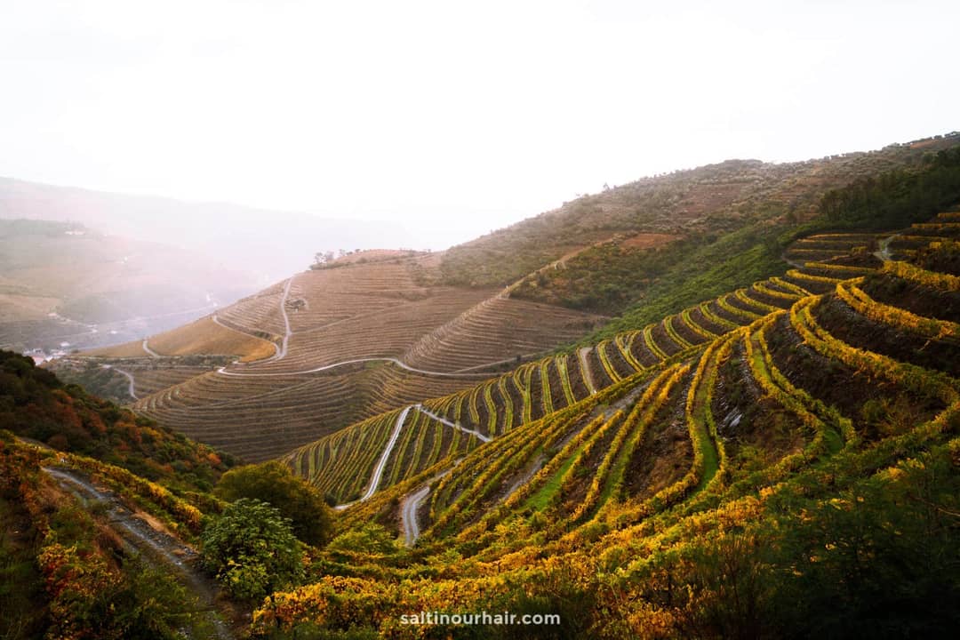 duoro valley portugal viewpoint