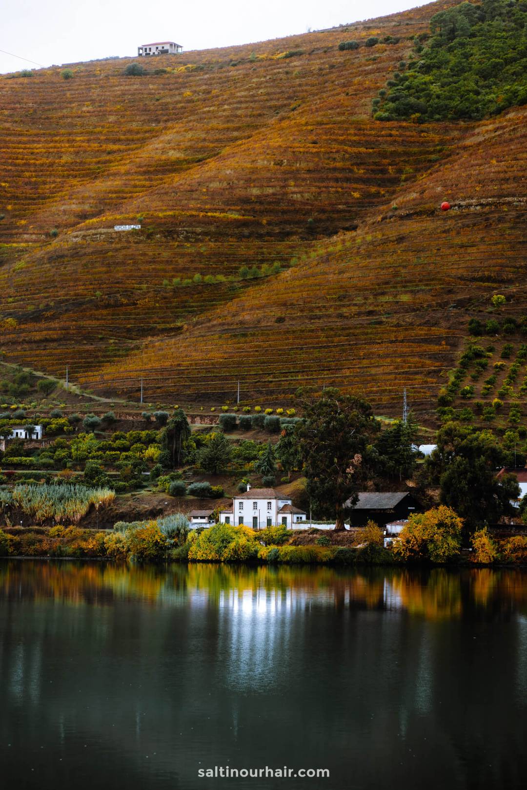 portugal travel guide douro valley