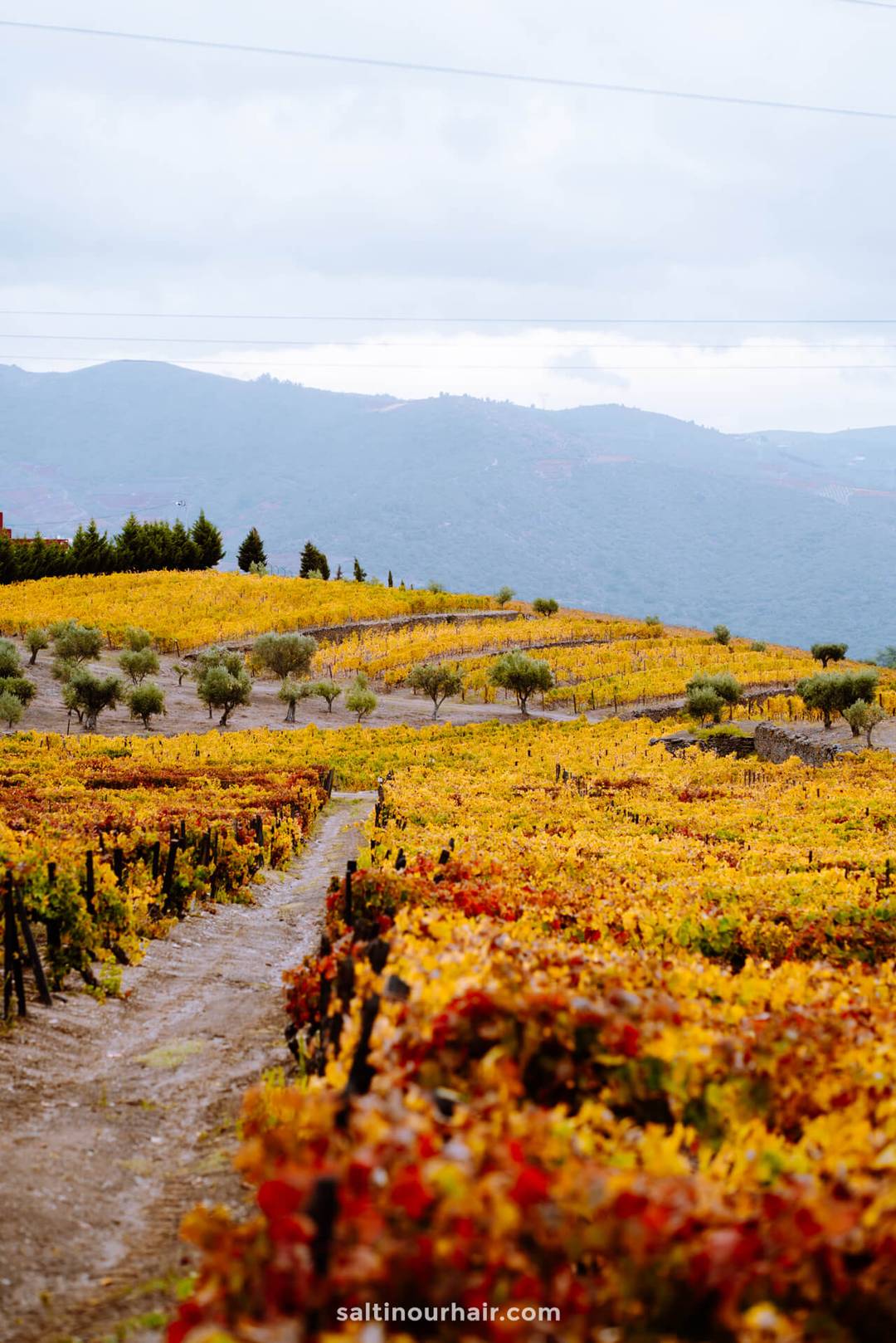 douro valley portugal