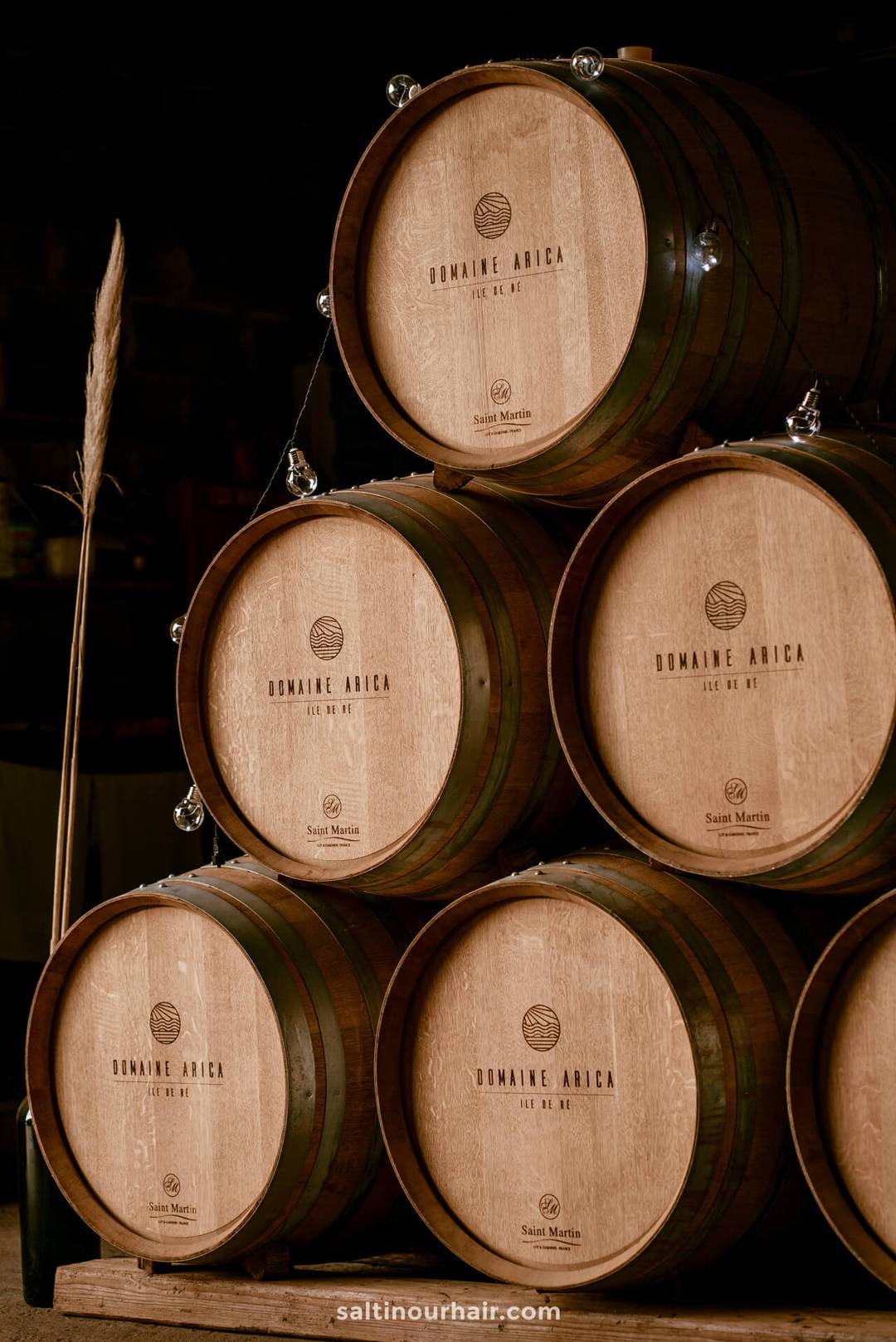 ile de re best things to do wine tour