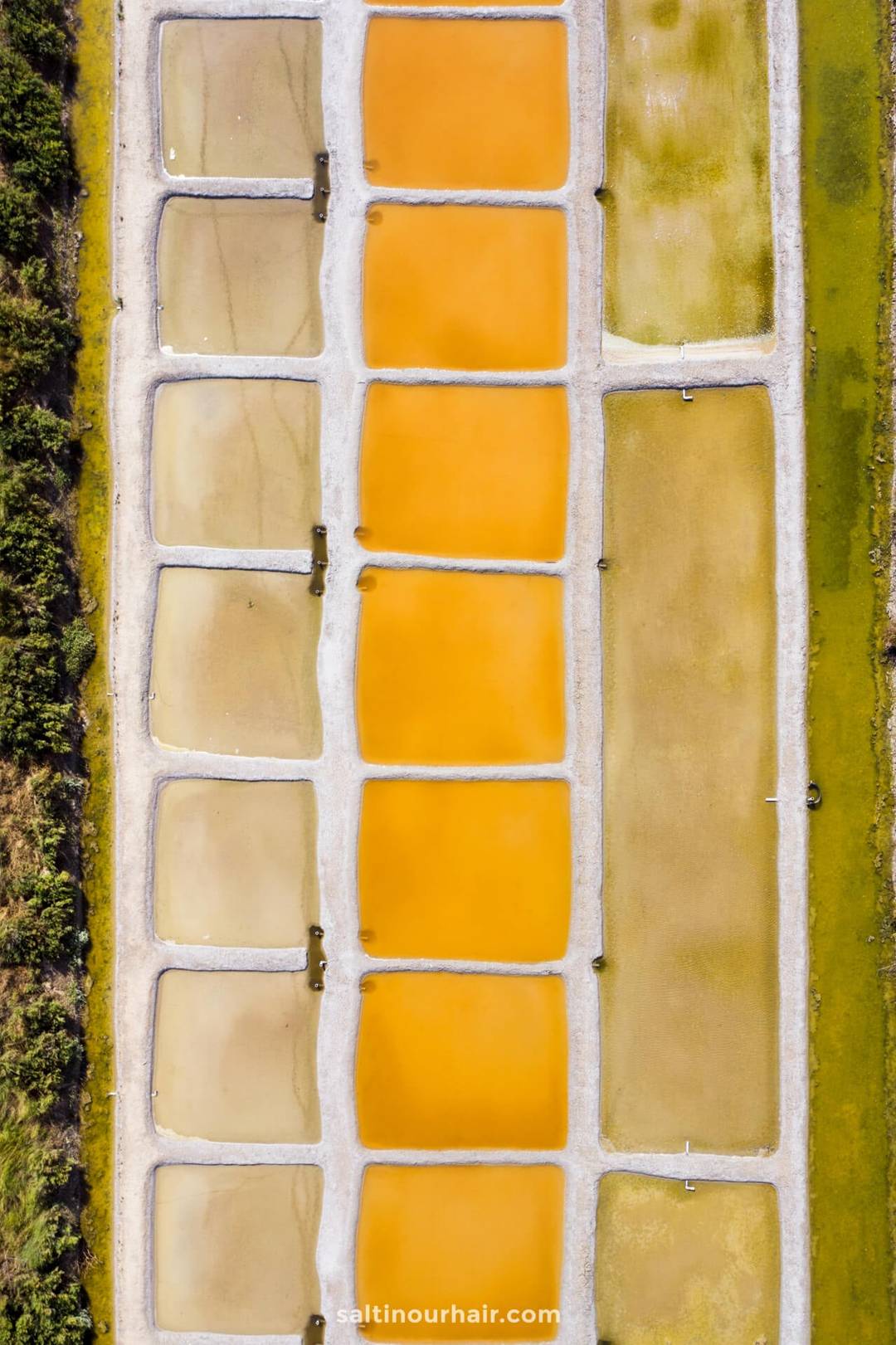 ile de re france salt marshes