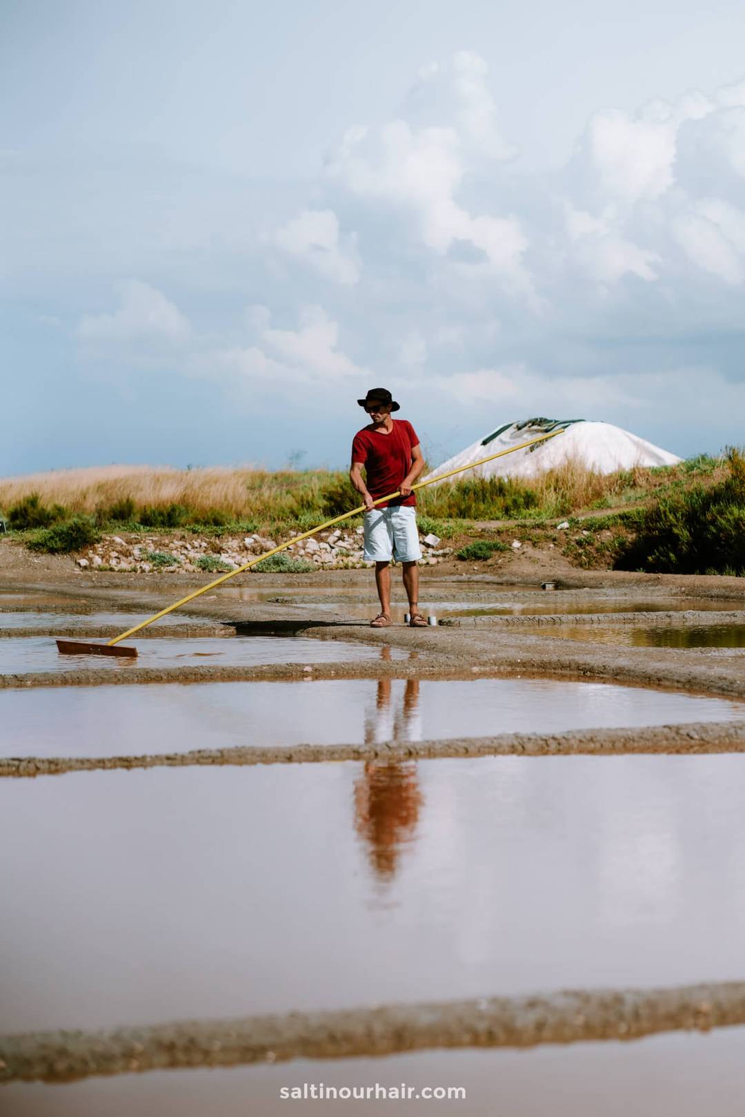 salt marshes france