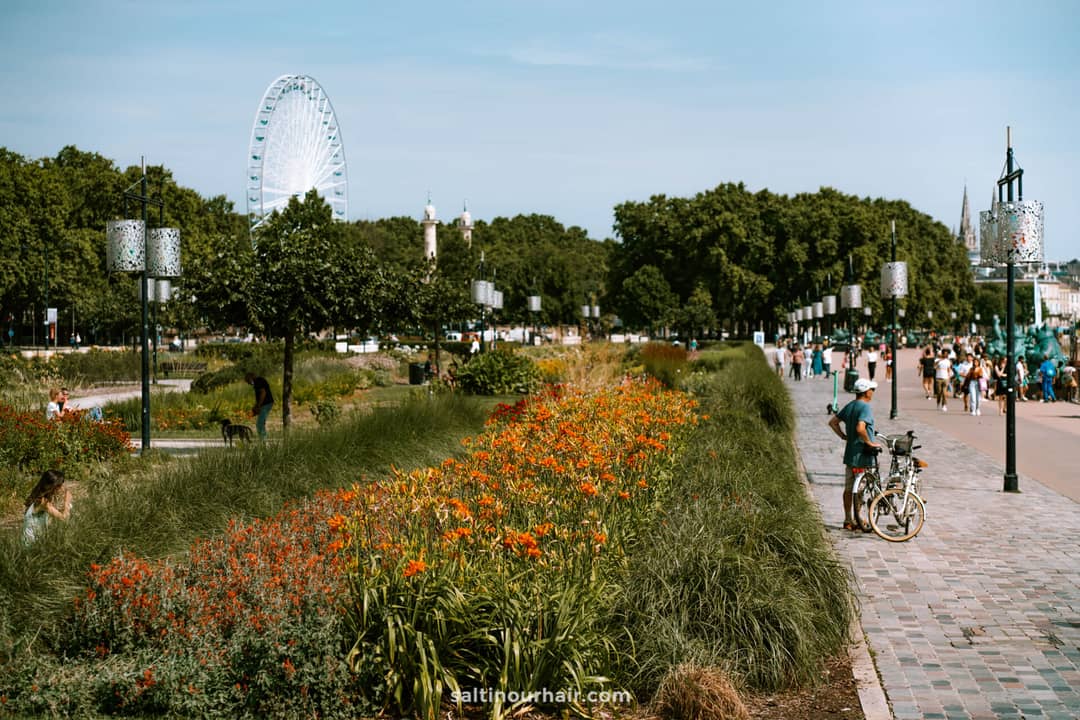 bordeaux