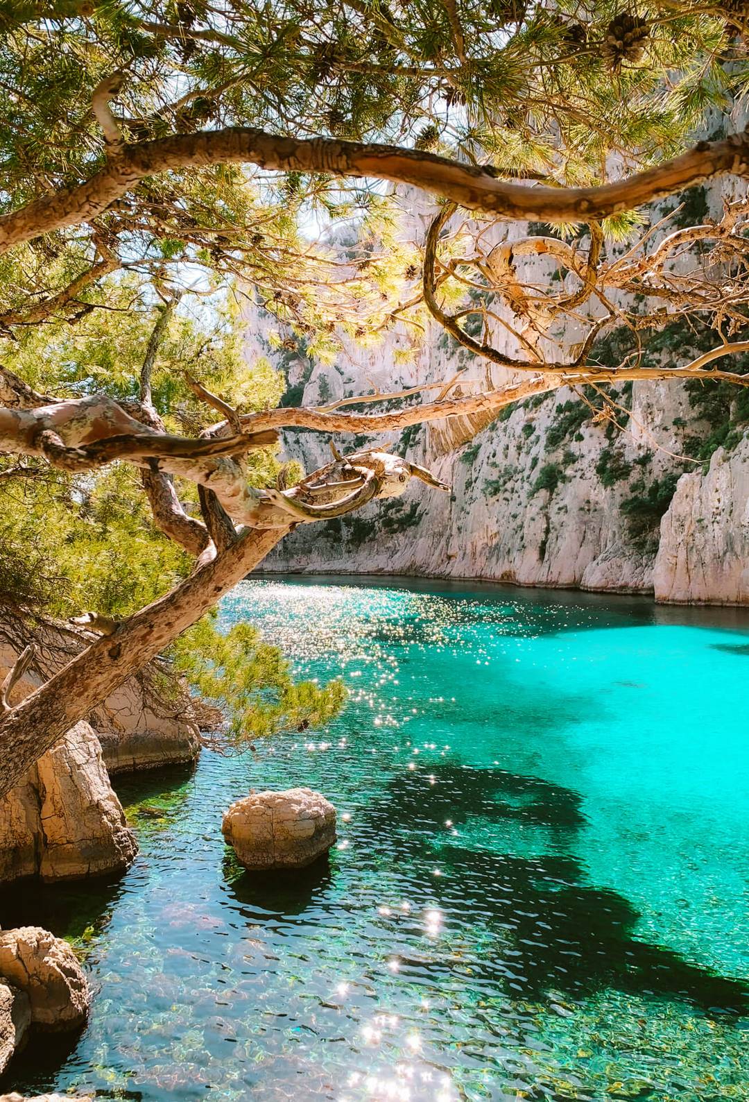 marseille france cassis calanques