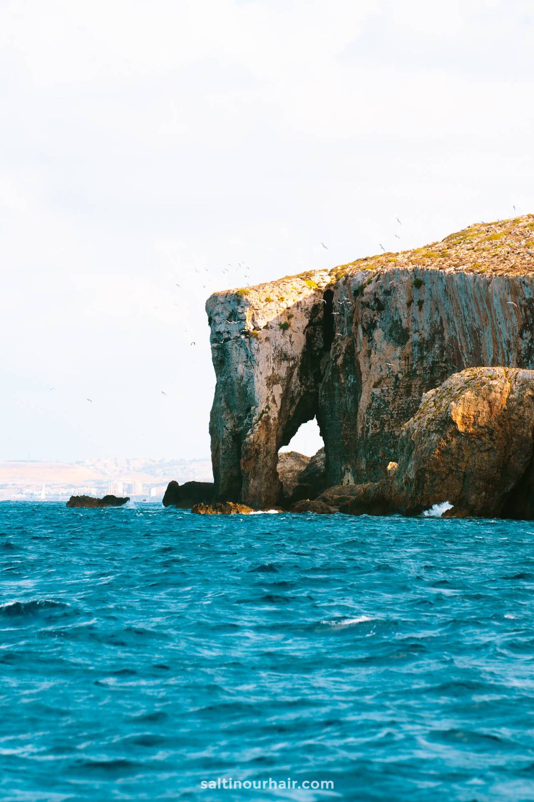 gozo comino tour malta