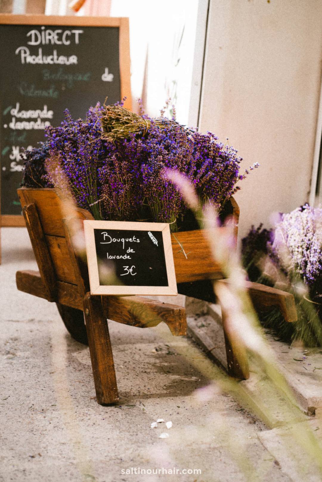 lavender shop france