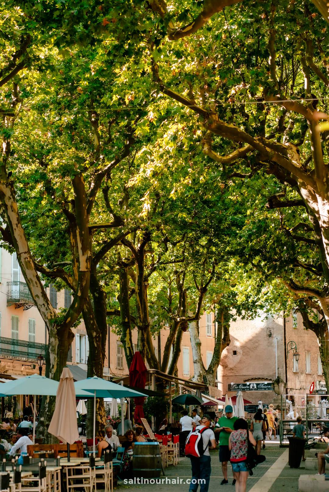 cotignac france restaurants