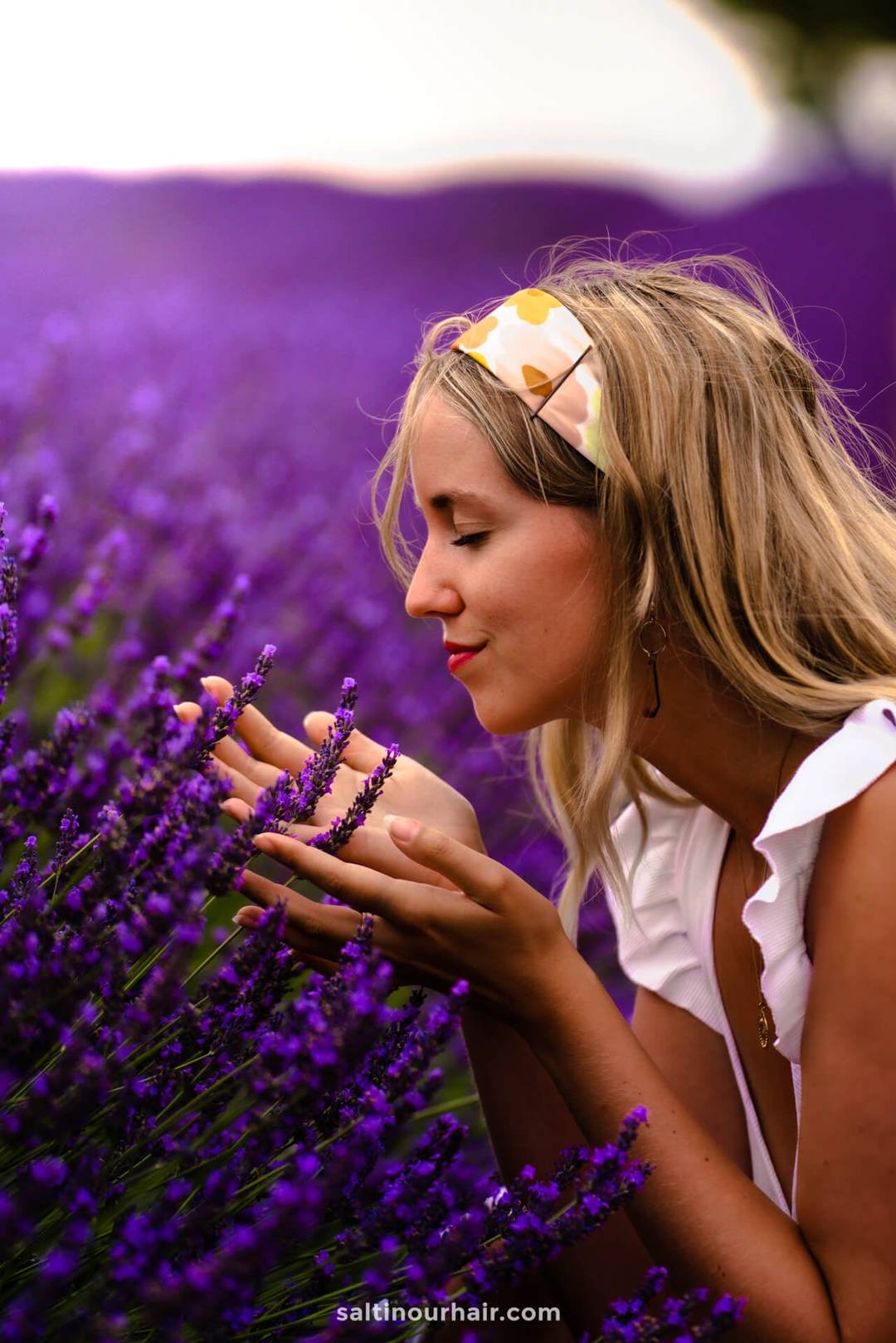 lavender fields