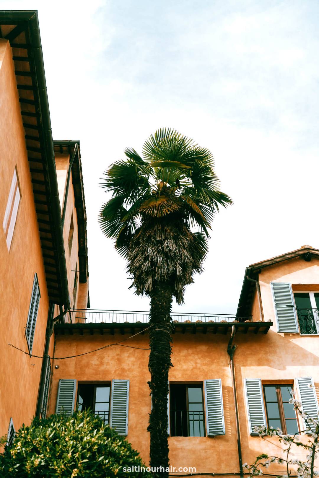 A tall palm tree stands in the center of an orange stucco courtyard, evoking the charm you