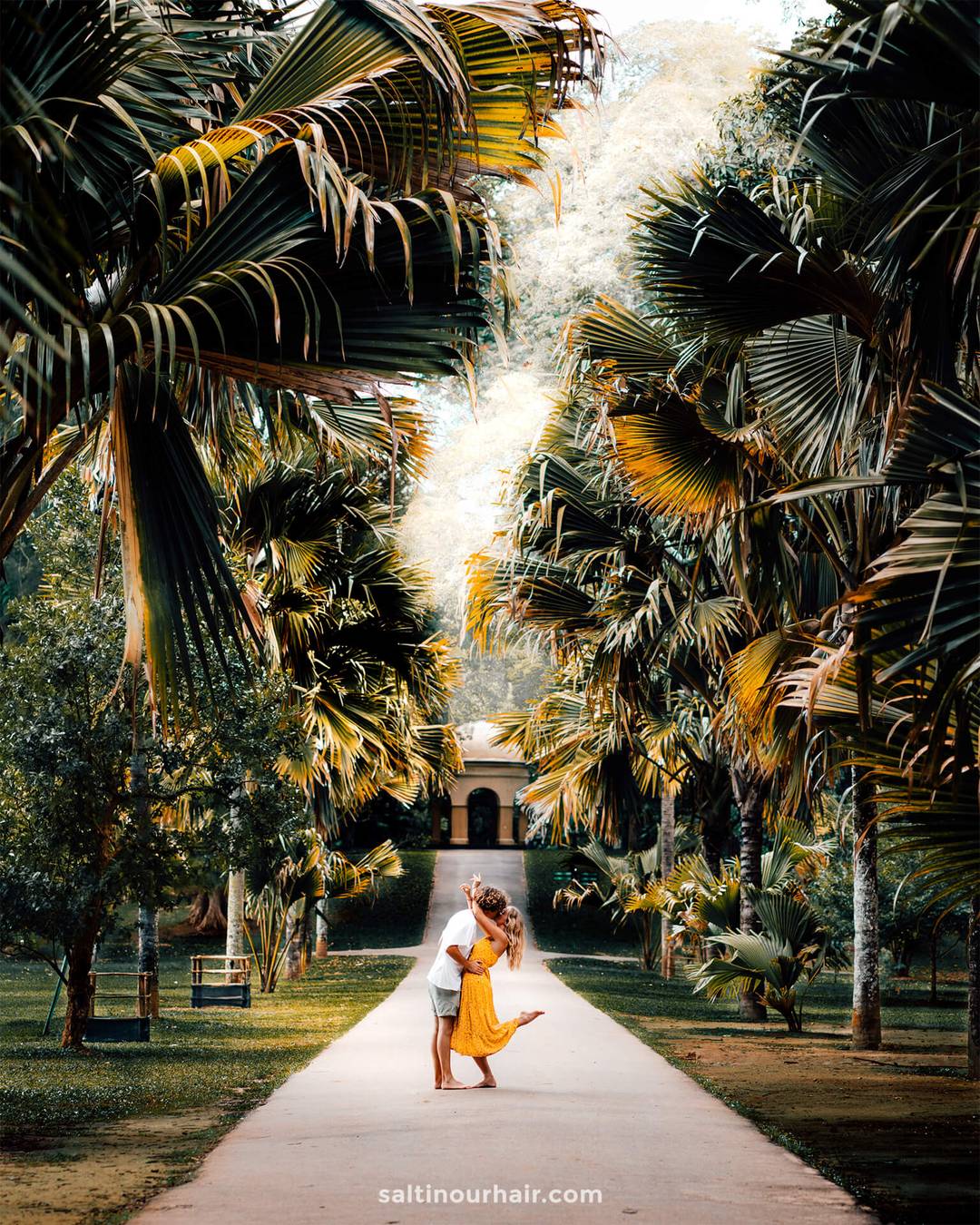kandy sri lanka botanical garden