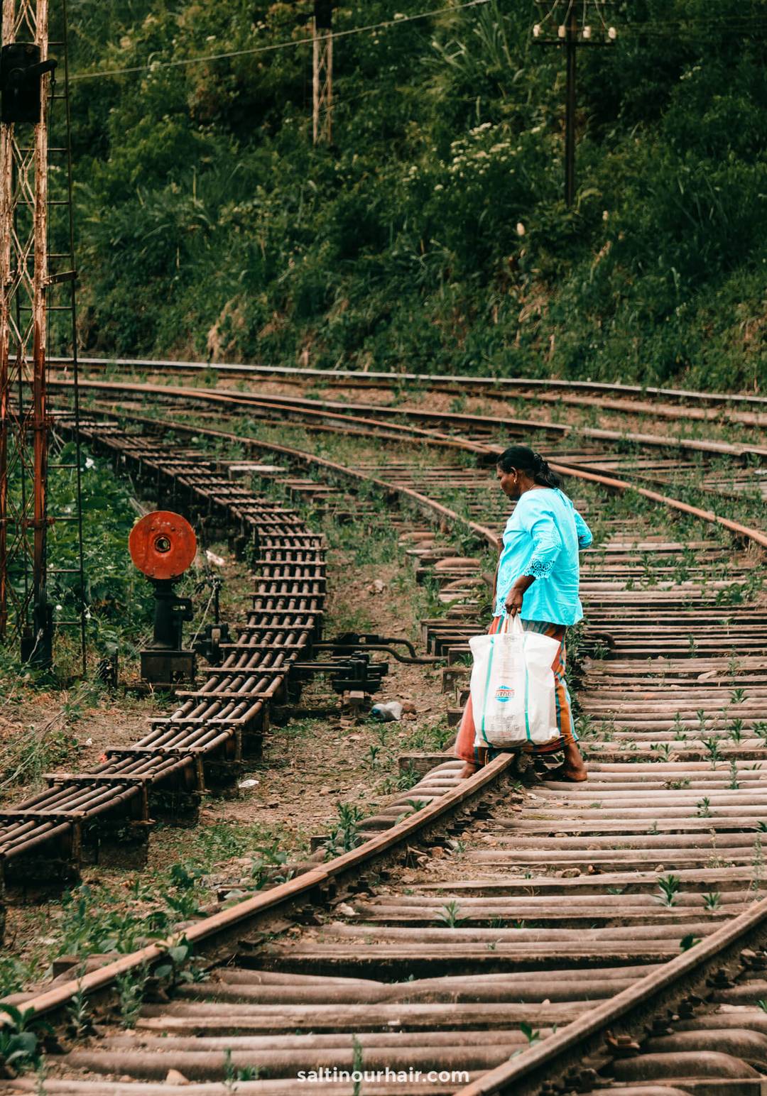 sri lanka train