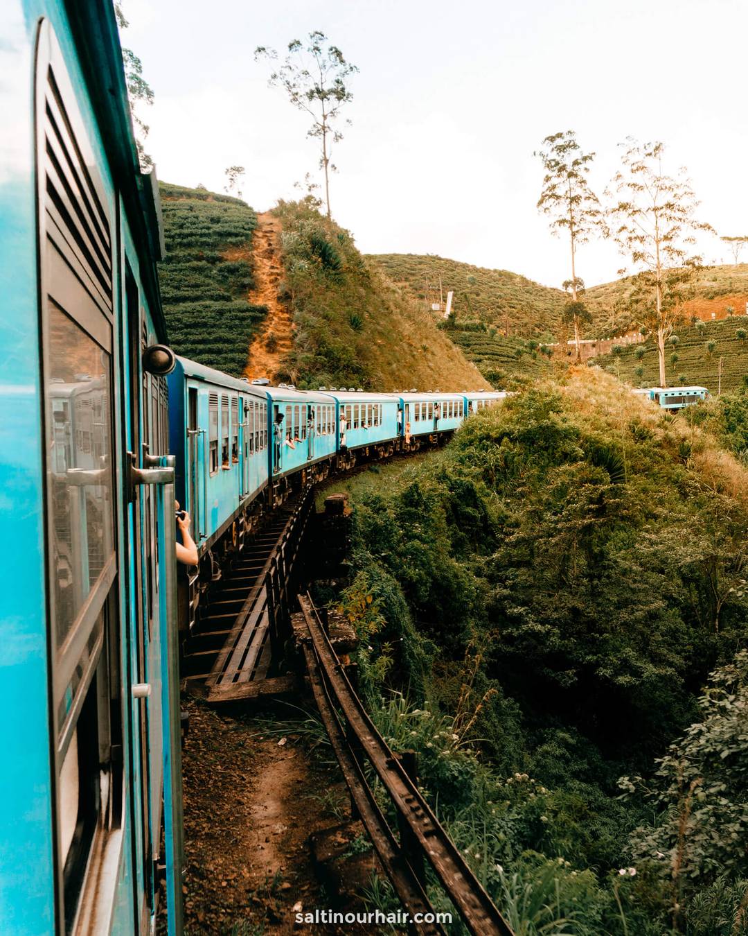 A blue passenger train Kandy to Ella, Sri Lanka, curves through lush green hills and tea plantations, with travelers gazing out the windows.