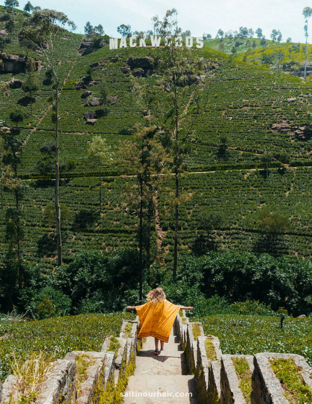 nuwara eliya sri lanka