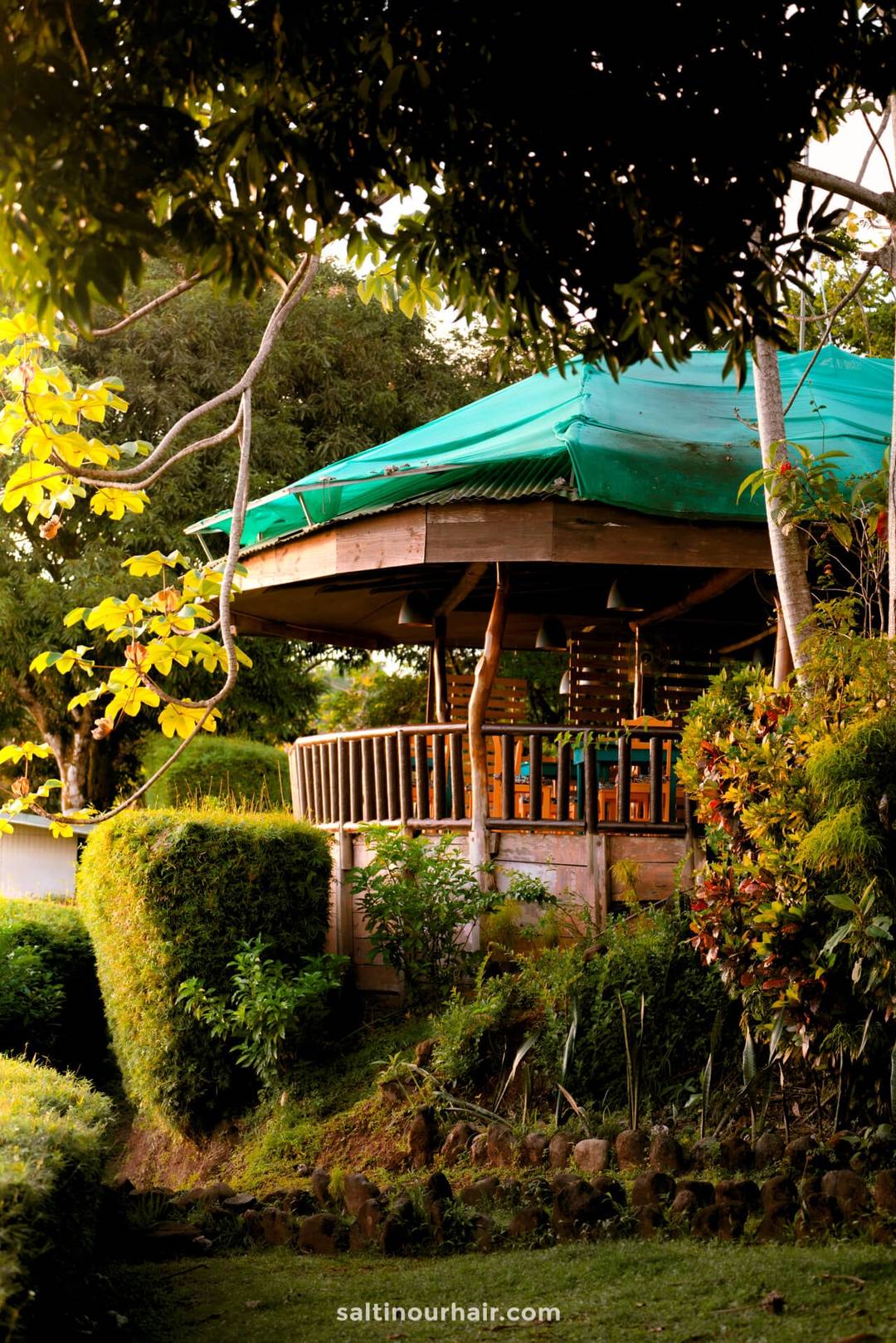 uvita things to do sunset dinner Gusto Italian