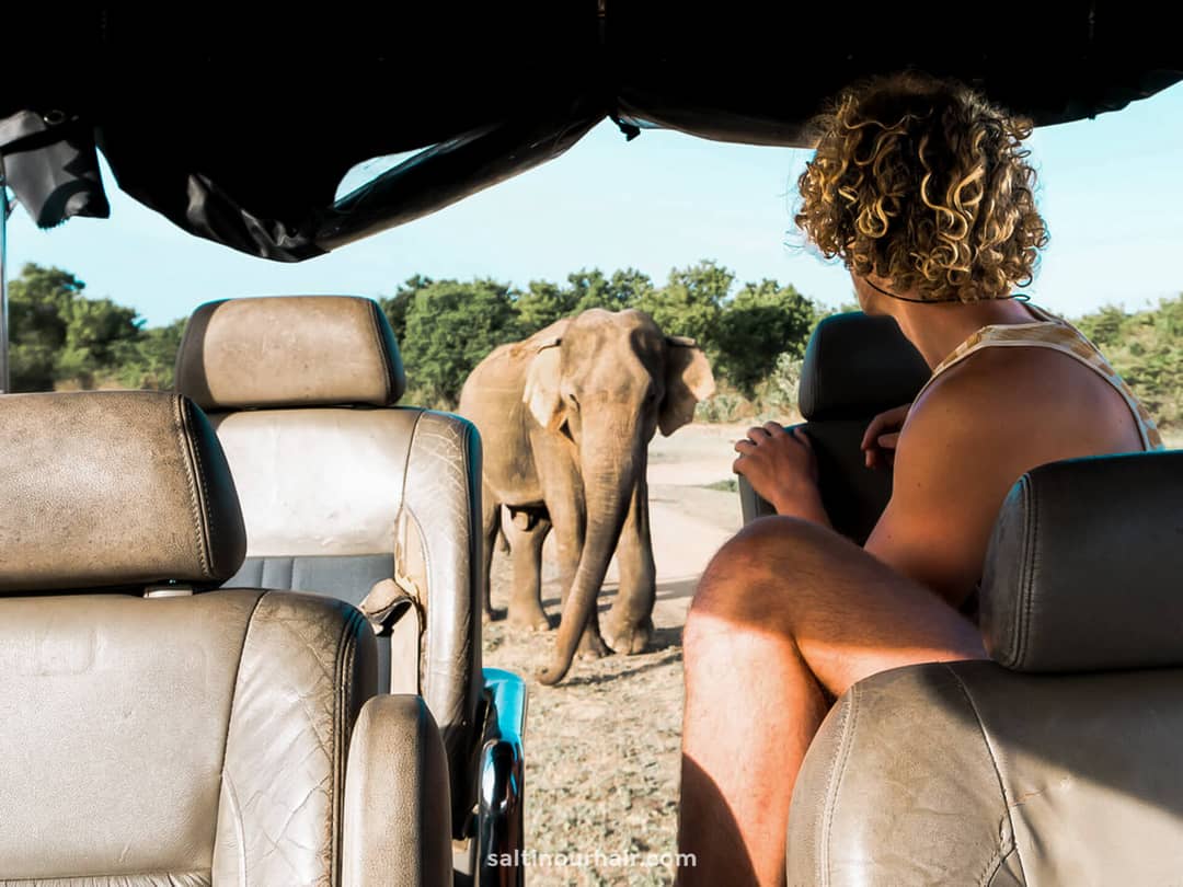 wildlife tourism better alternatives sri lanka safari